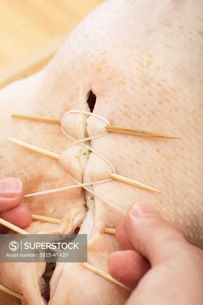 Person stuffing raw goose, close_up