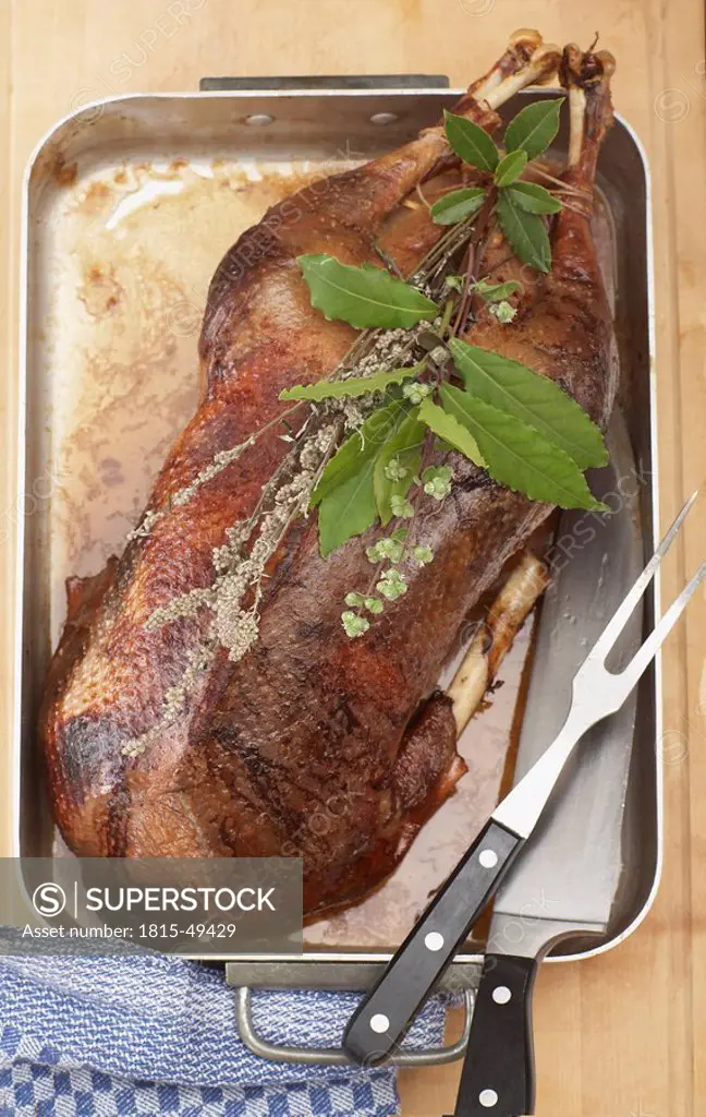 Roasted goose in roasting tray, elevated view