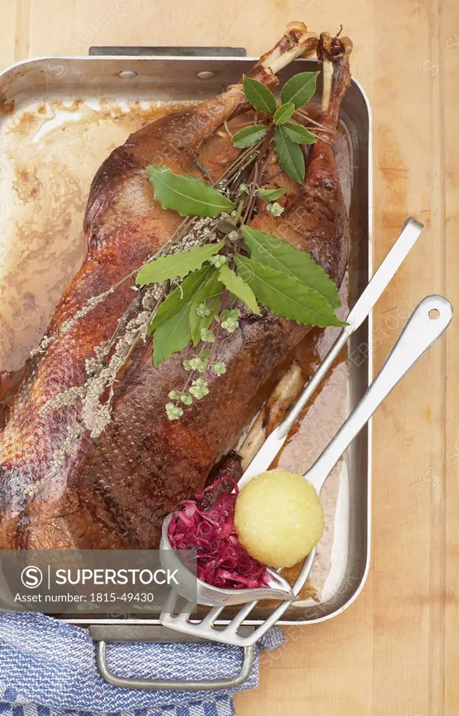 Roasted goose in roasting tray with dumpling and red cabbage, elevated view