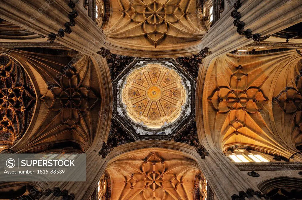 Europe, Spain, Castile and Leon, Salamanca, View of interior dome of gothic cathedral