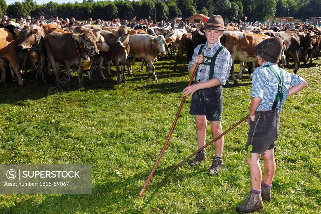 Germany, Bavaria, Swabia, Schwaben, Allgaeu, Ostallgau, Pfronten, Boy with Almabtrieb cattle