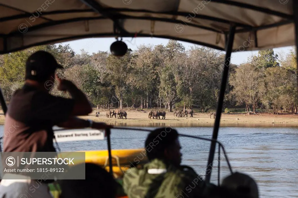 India, South India, Karnataka, People in safari boat looking at indian elephants at national park