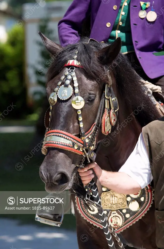 Austria, Salzkammergut, Mondsee, People in traditional costume with horse