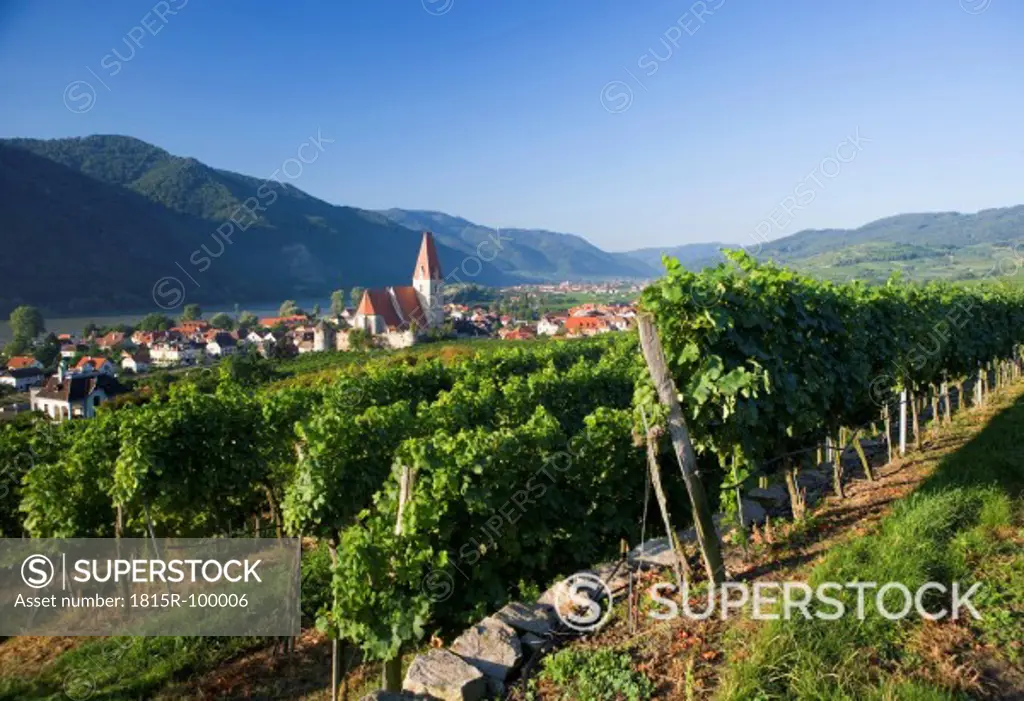 Austria, Wachau, Weissenkirchen, View of Wehrkirche Church and vineyard