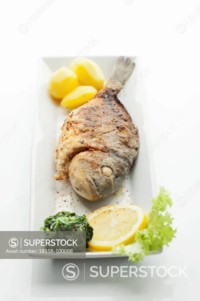 Garnished gilthead bream in plate on white background