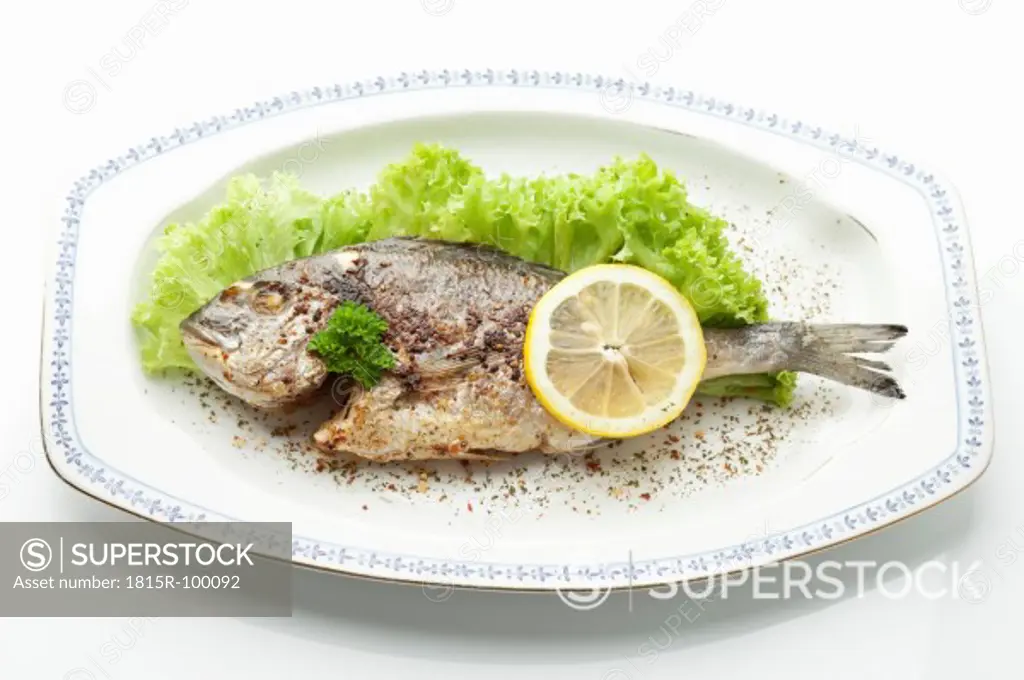 Garnished Gilthead bream in plate on white background