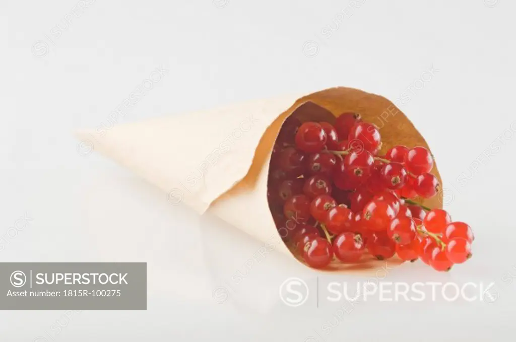 Red currants in paper bag on white background