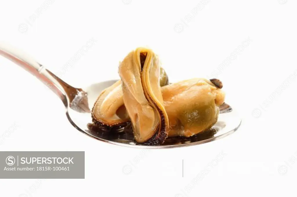 Preserved mussels in spoon against white background