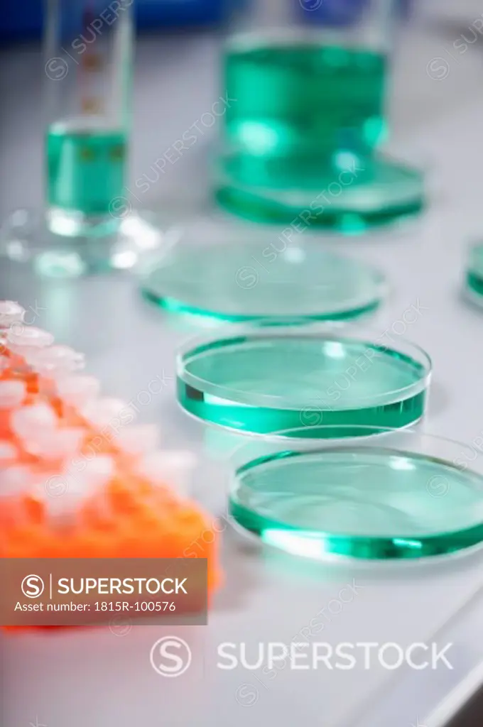 Germany, Bavaria, Munich, Test tube rack and petri dishes with green sample in laboratory