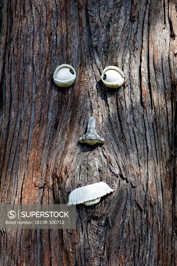 USA, Pine tree trunk with face