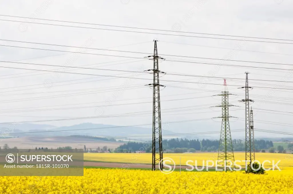 Germany, Bavaria, View of electricity pylon in rapeseed field