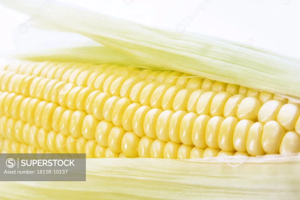 Corn cob, close-up