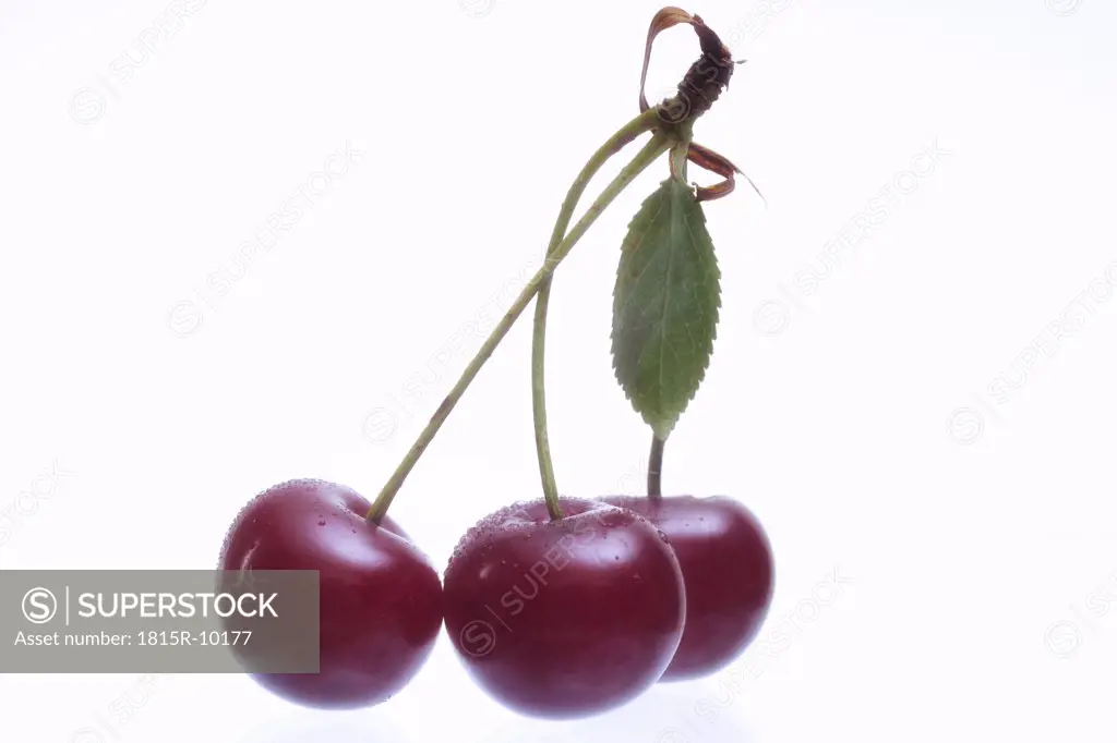 three sour cherries, cut-out, white background