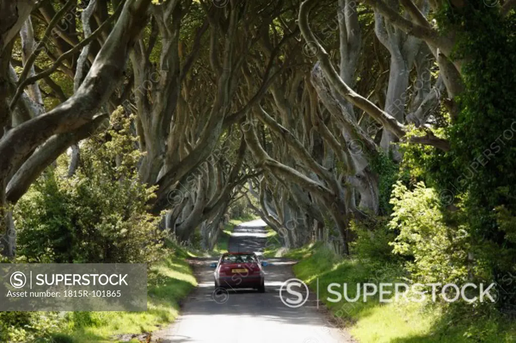 United Kingdom, Northern Ireland, County Antrim, View of car on road