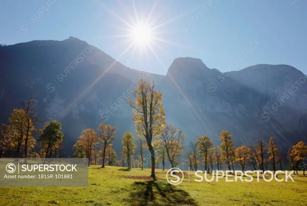 Austria, Tyrol, View of Karwendel Mountains with sycamore maples