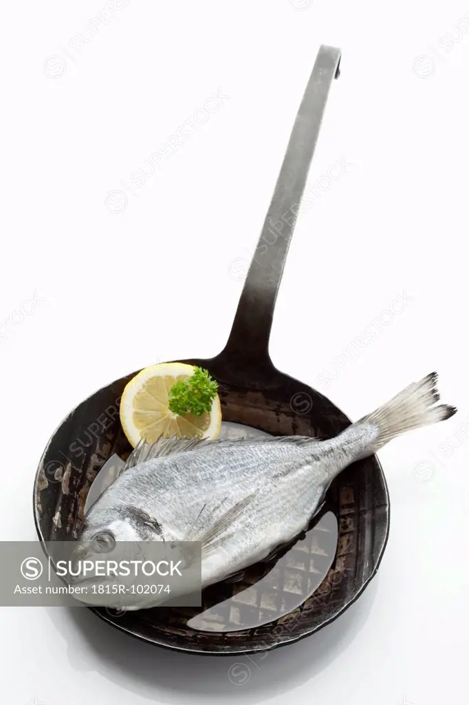 Gilthead bream in frying pan on white background