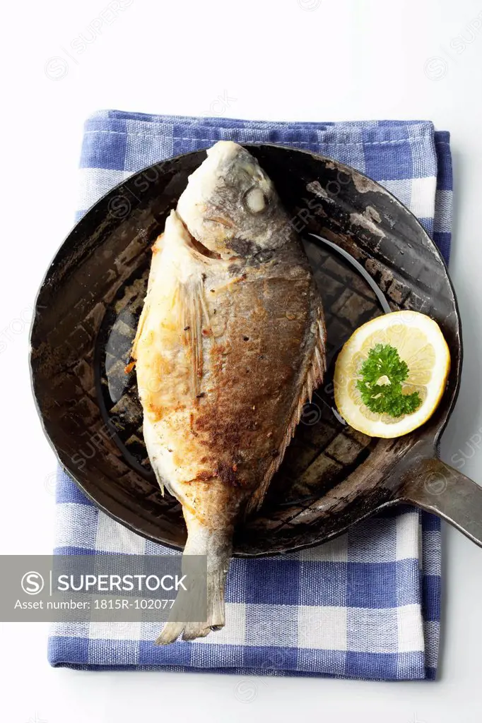 Gilthead bream in frying pan with napkin on white background