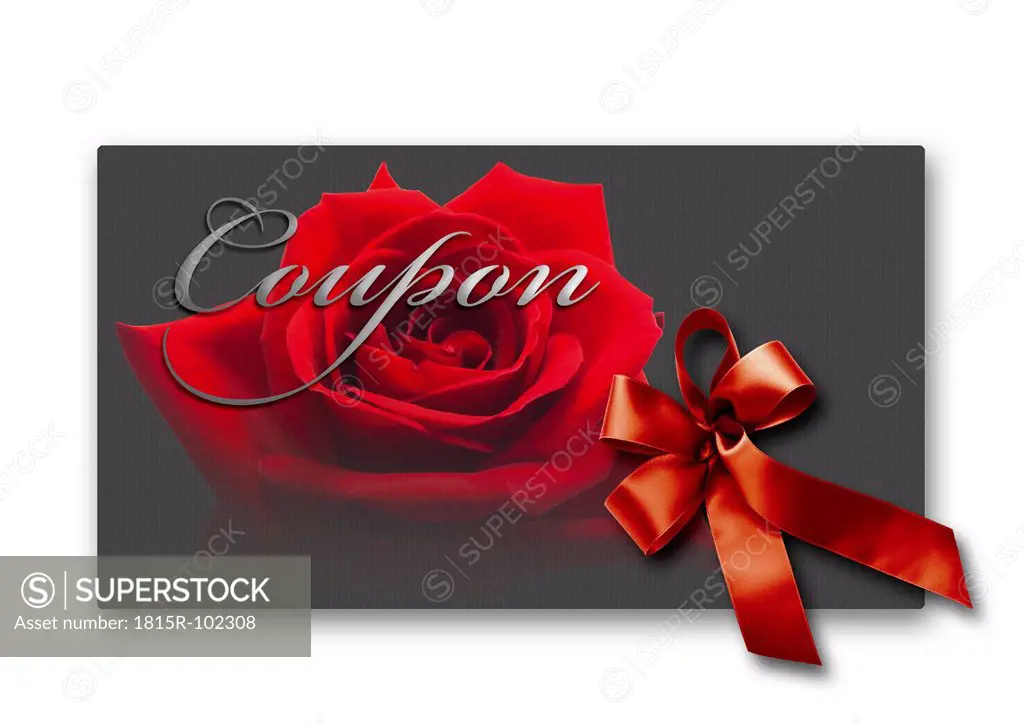 Coupon card with red rose and ribbon against white background, close up