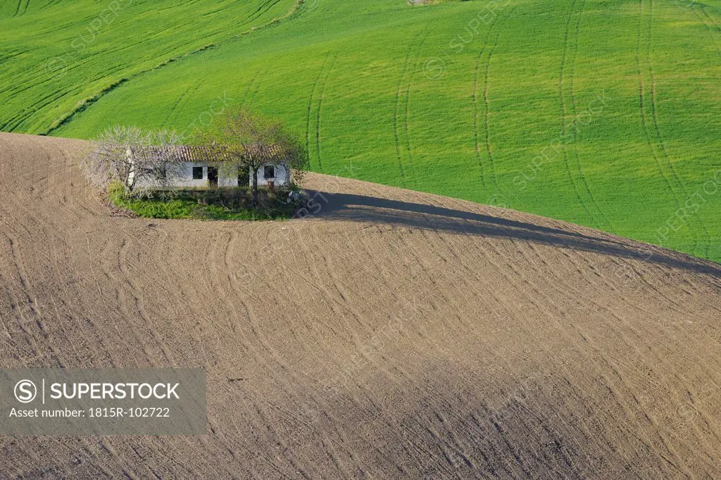 Spain, Andalusia, View of house in plowed field
