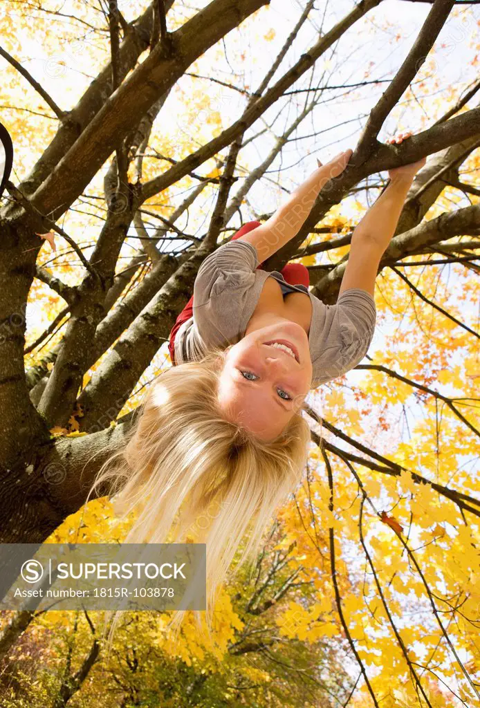 Austria, Young woman hanging on maple tree in autumn