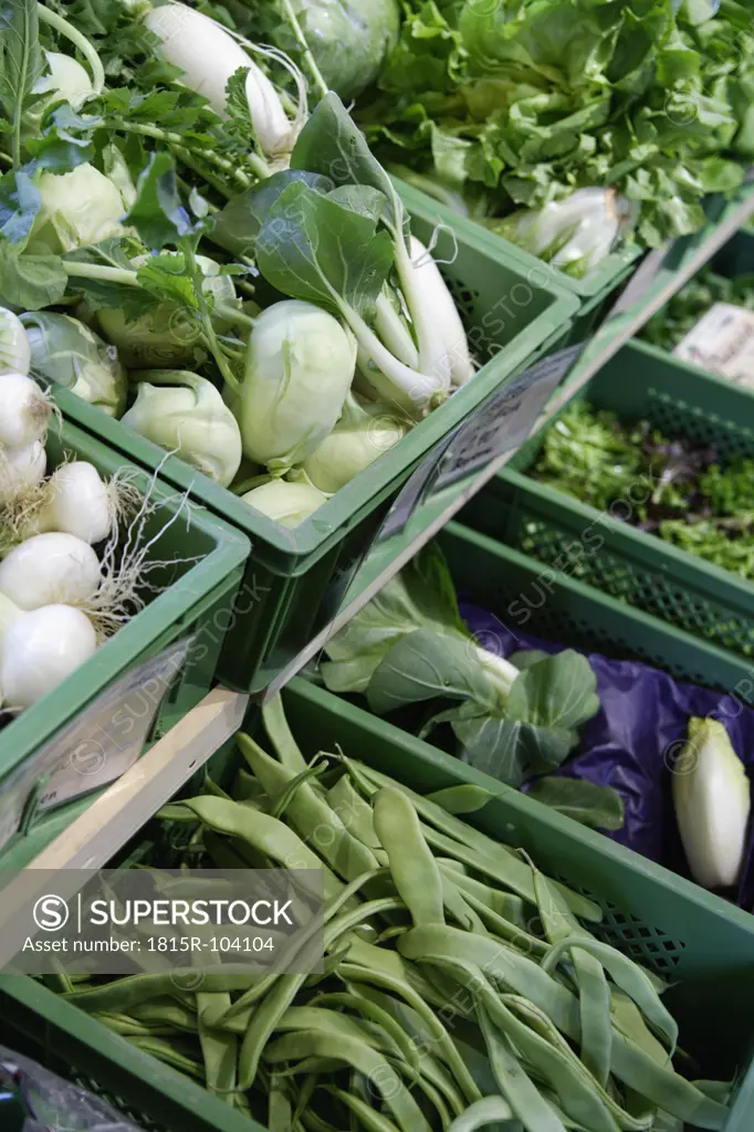 Germany, Bavaria, Variety of vegetables at organic food store