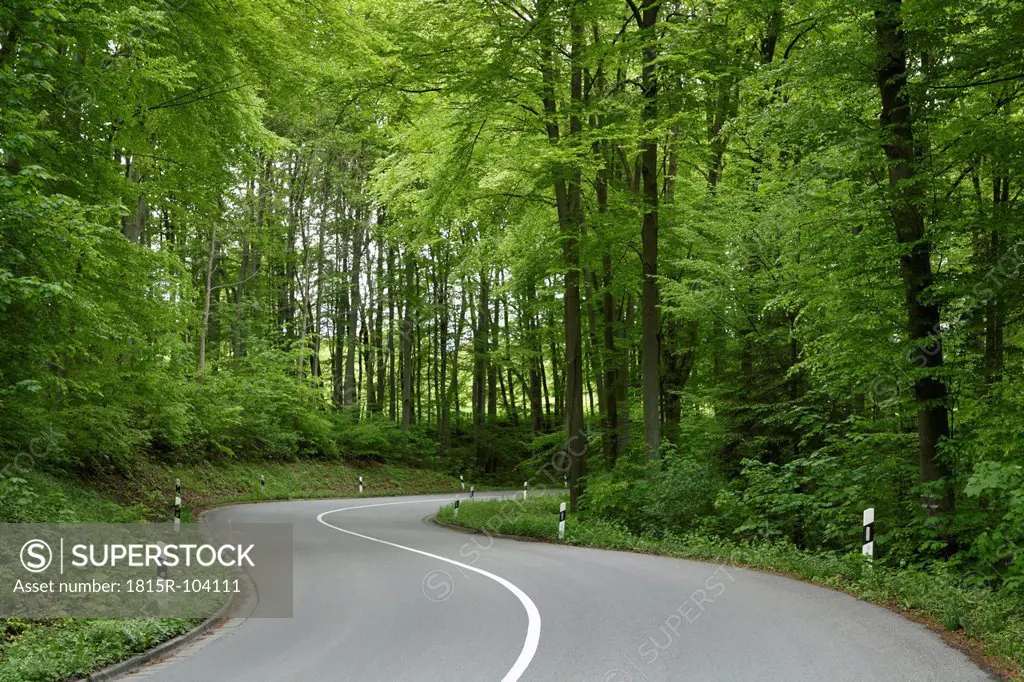 Germany, Bavaria, Empty road through boardleaf forest
