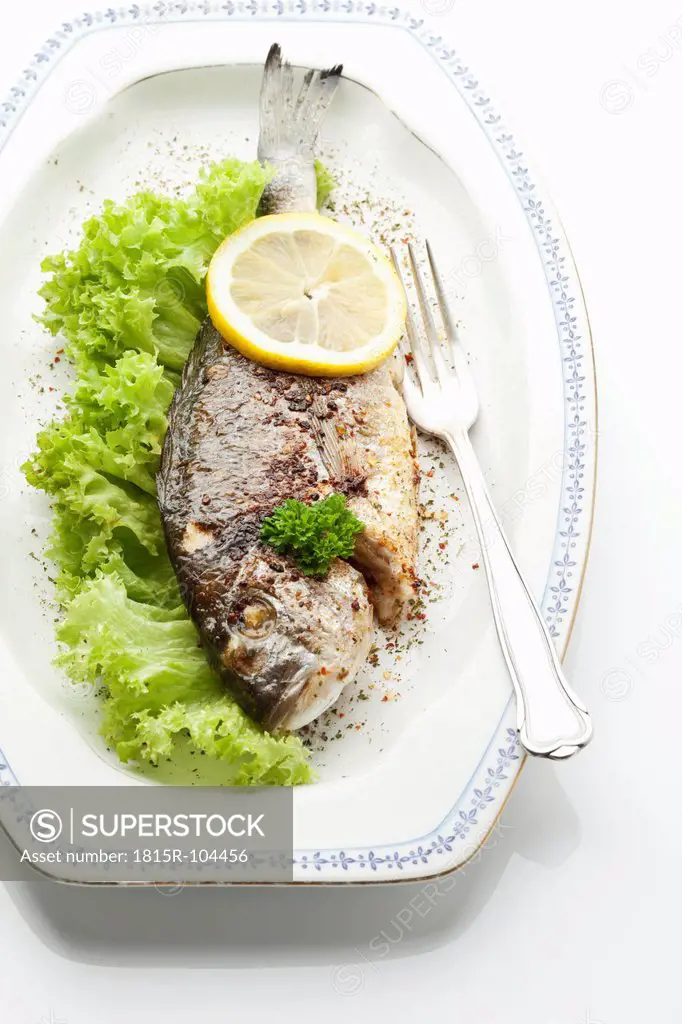 Garnished Gilthead bream in plate on white background