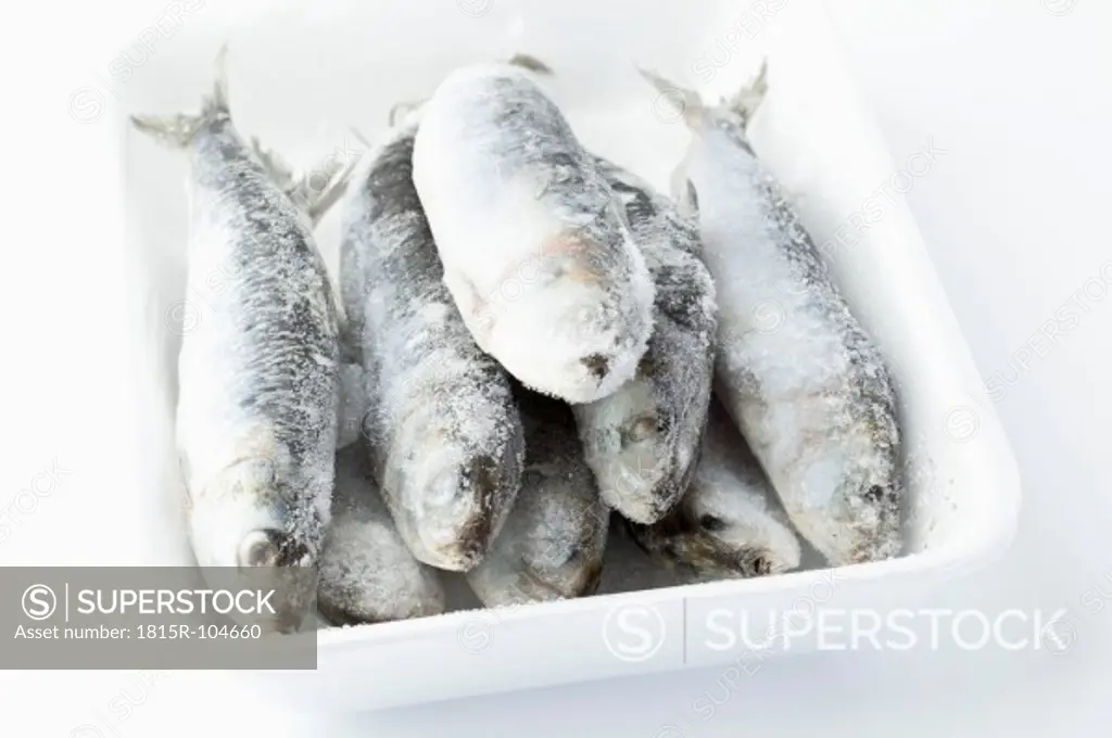 Frozen sardines in bowl on white background