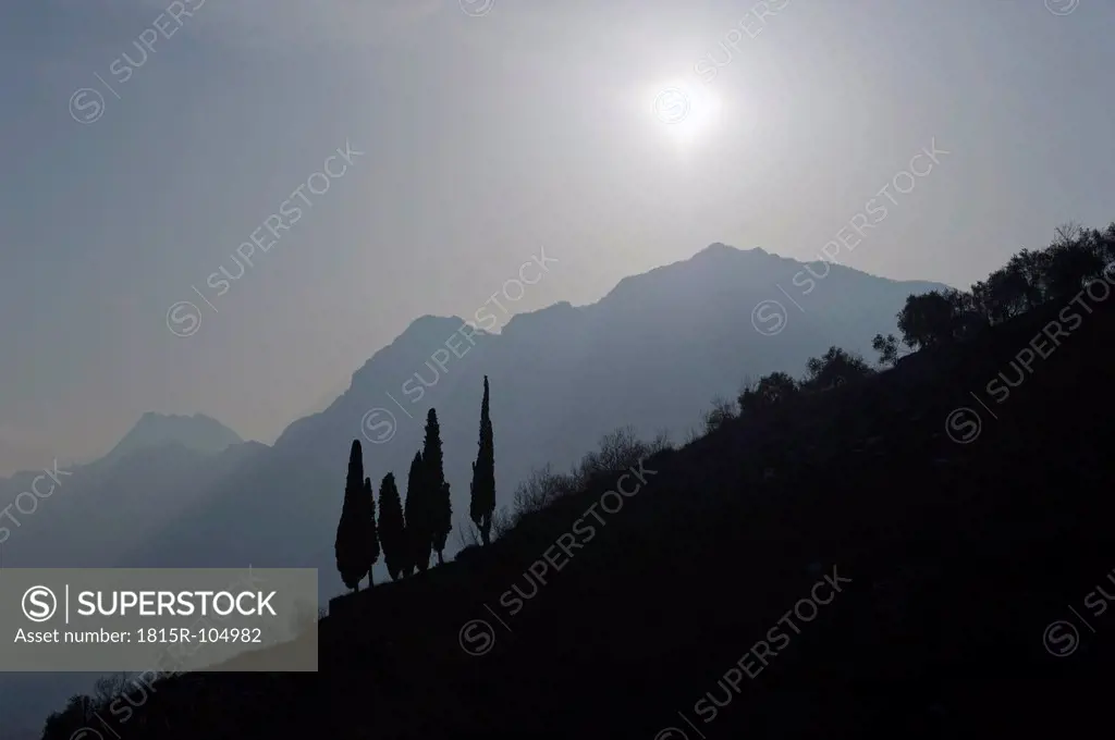 Italy, View of dark hill side with tree