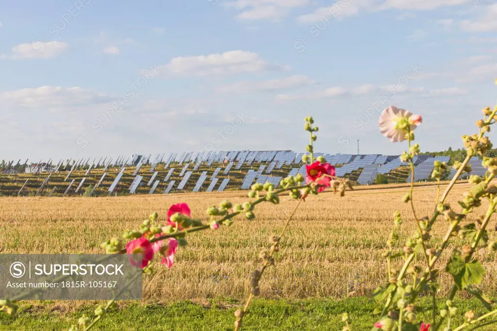 Germany, Saxony, View of solar panels
