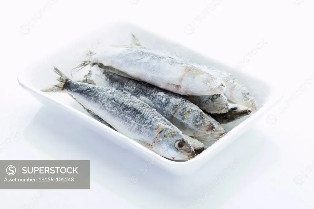 Frozen sardines in bowl on white background