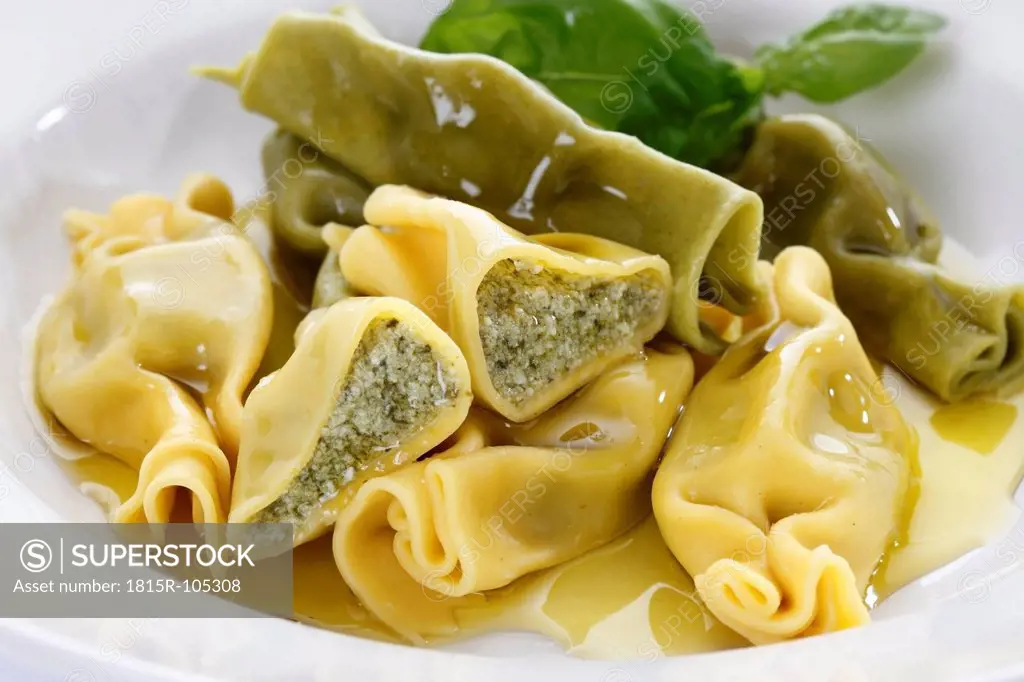 Stuffed pasta in plate, close up