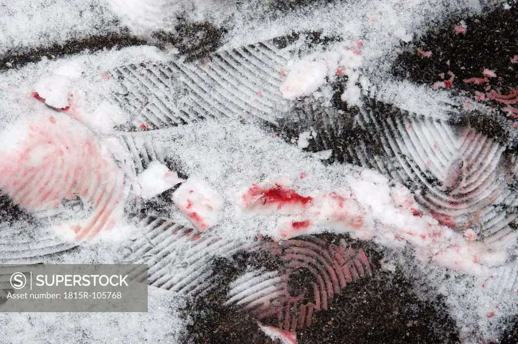 Europe, Germany, Crime scene with footprints and bloodstain in snow, close up