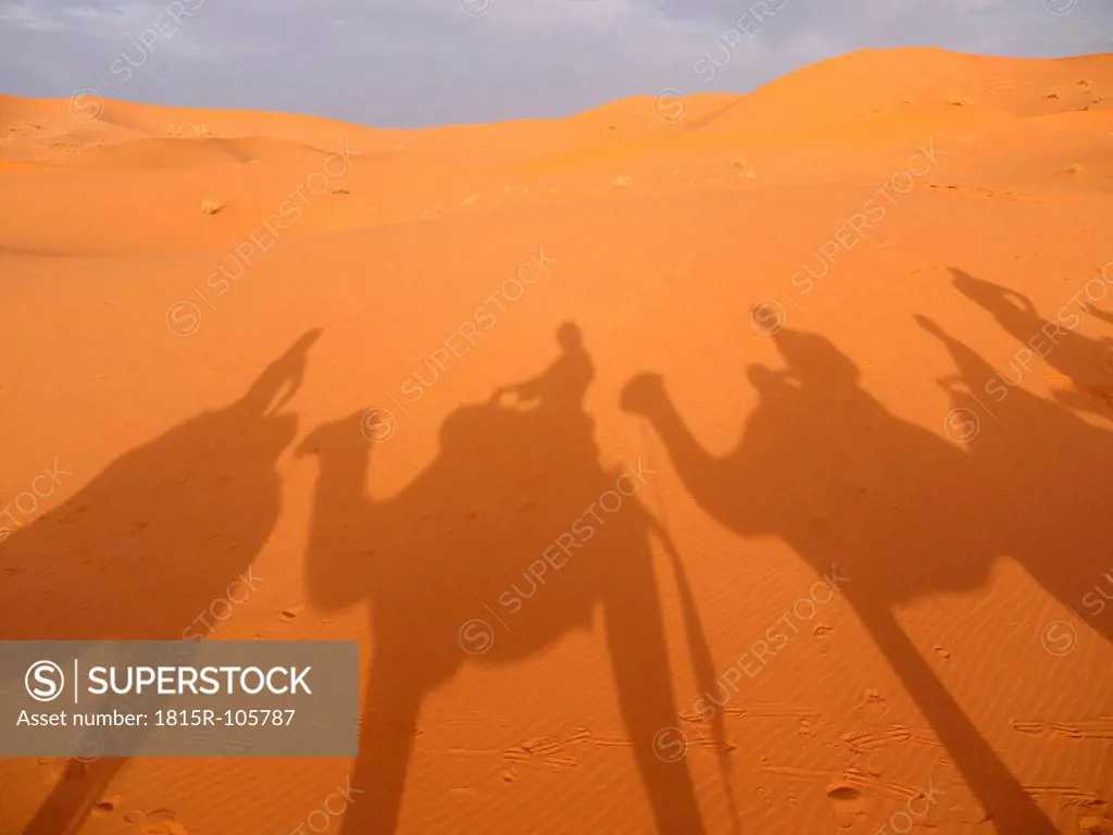 North Africa, Morocco, Merzouga, Shadows of a caravan with camels and tourists on sand
