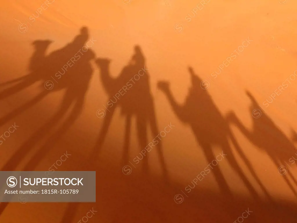 North Africa, Morocco, Merzouga, Shadows of a caravan with camels and tourists on sand