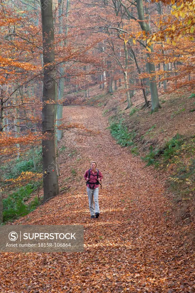 Germany, North Rhine Westphalia, Mature woman hiking in autumn forest