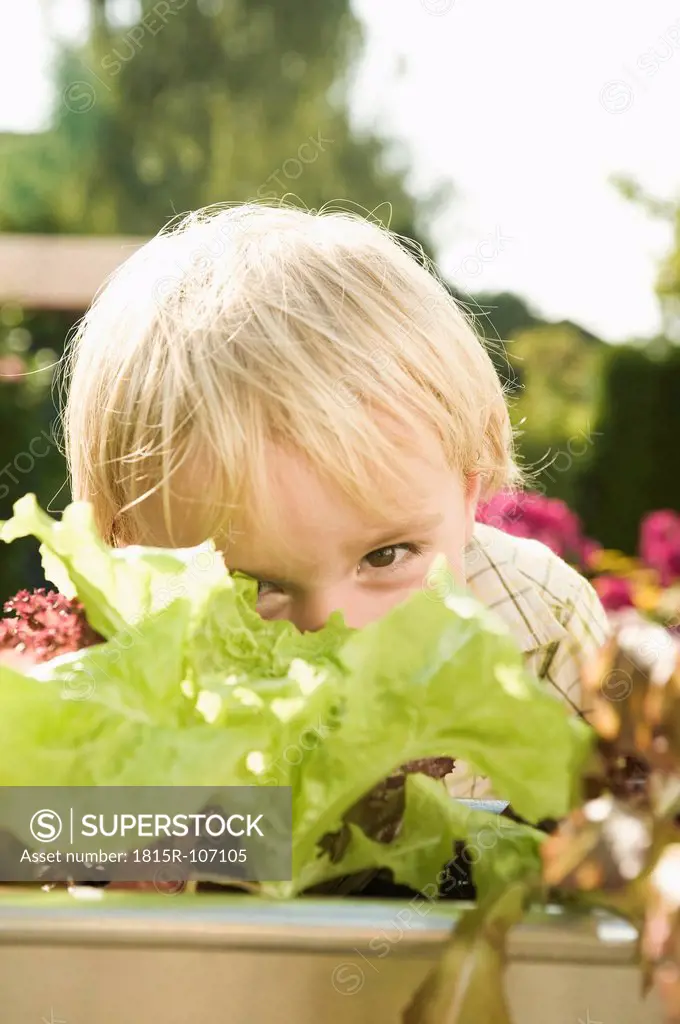Germany, Bavaria, Boy hiding face behind salad