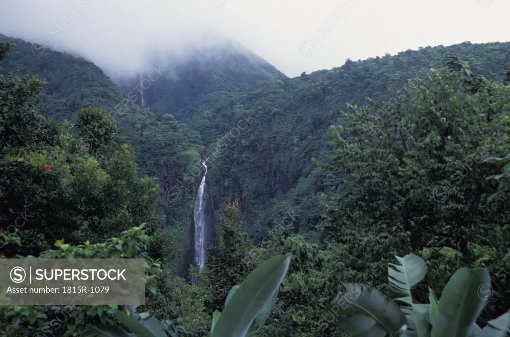 Guadeloupe,waterfall, National Park