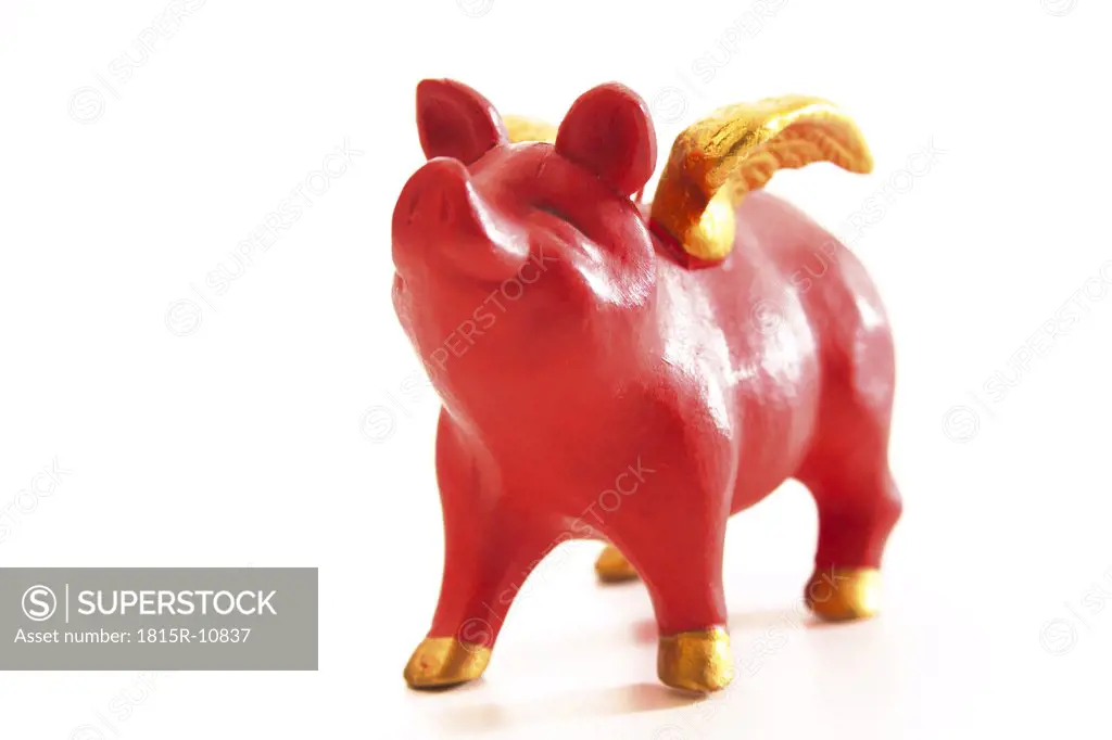 Lucky pig with golden wings