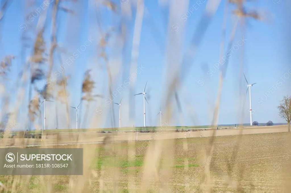 Germany, Saxony, View of wind turbine