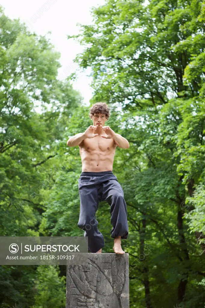 Germany, Bavaria, Young man performing martial arts