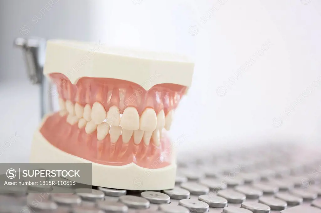 Germany, Exhibition dentures on keyboard in dental office