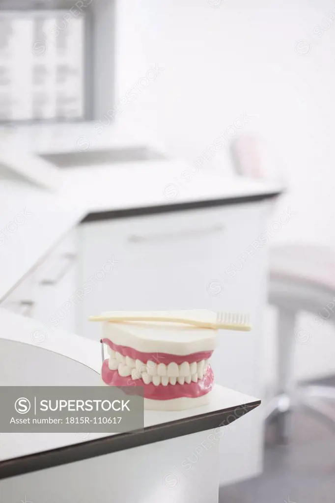 Germany, Exhibition dentures with toothbrush in dental office