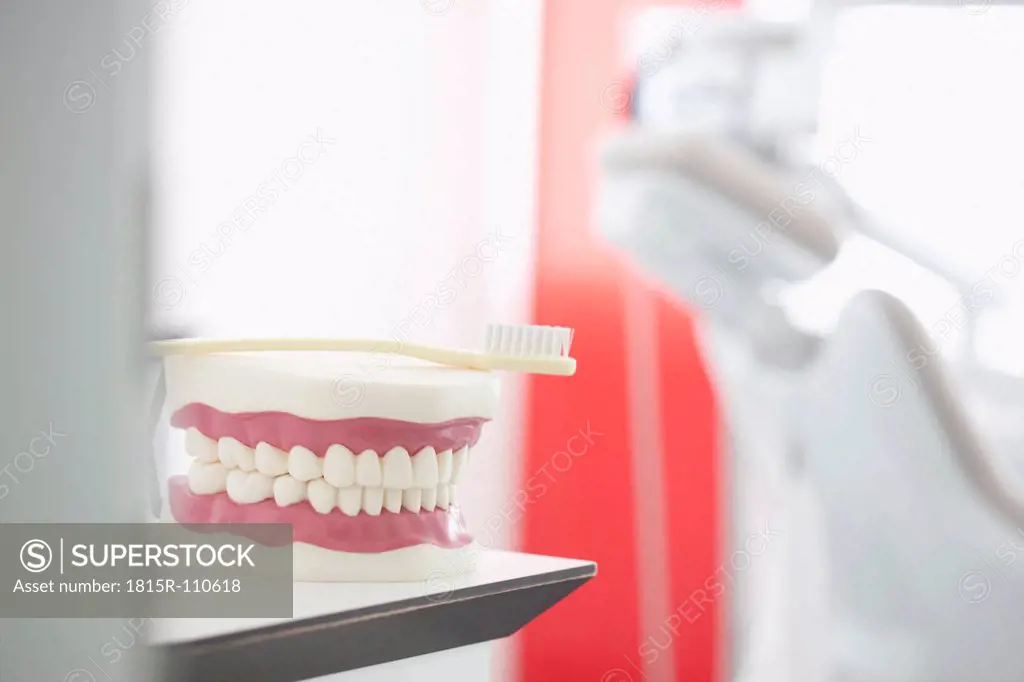 Germany, Exhibition dentures with toothbrush in dental office
