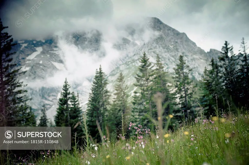 Germany, Bavaria, View of mountain meadow with alps