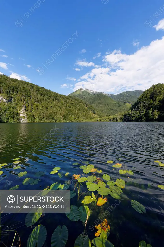 Austria, Salzburg State, Salzkammergut, St. Gilgen, Krotensee Lake with Schafberg Mountain