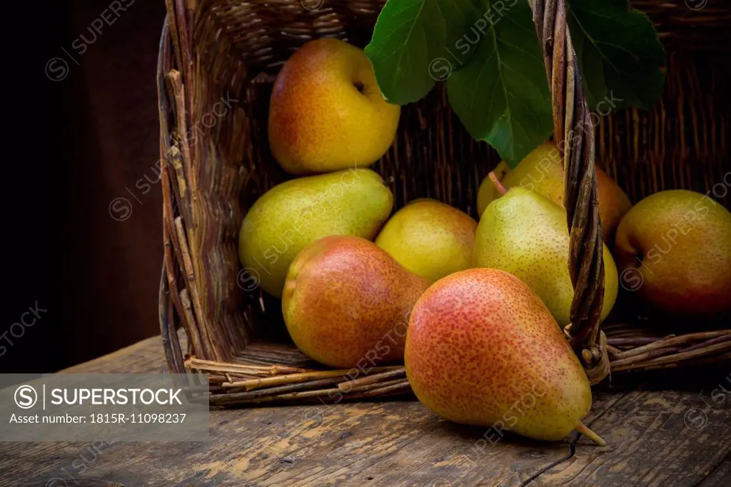 Organic pears, Trout pears, Pyrus Communis, Wickerbasket