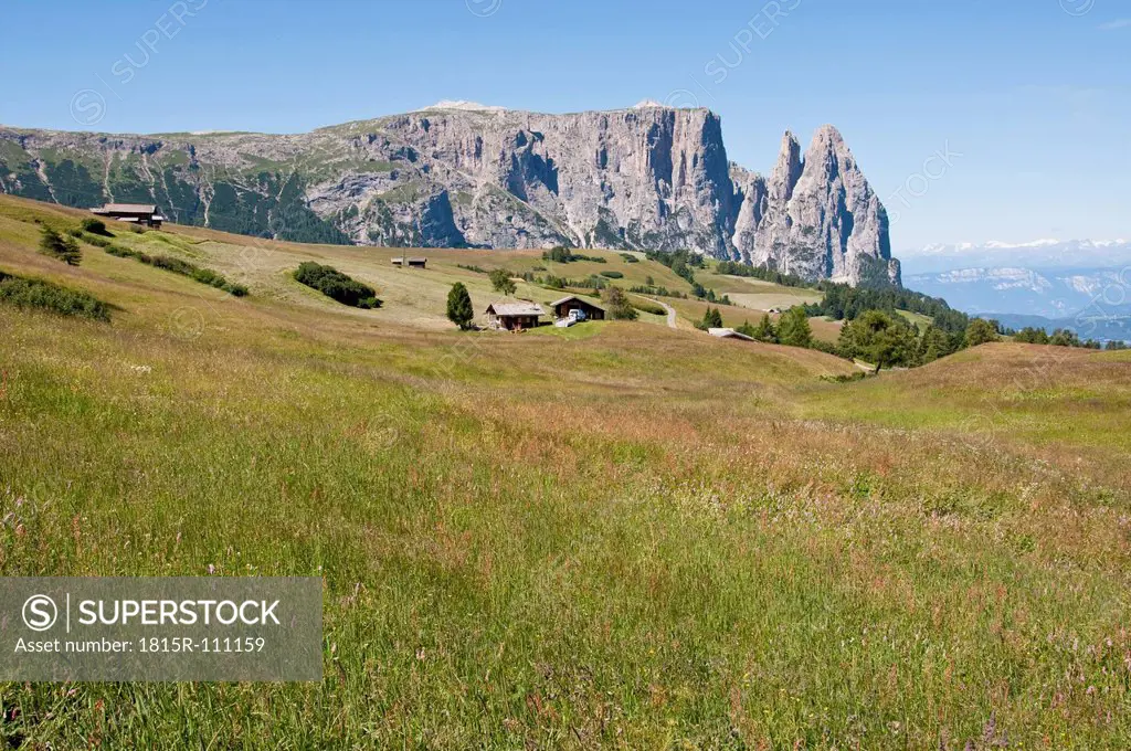 Italy, Alpine meadow towards Schlern and Santner Spitze at South Tyrol
