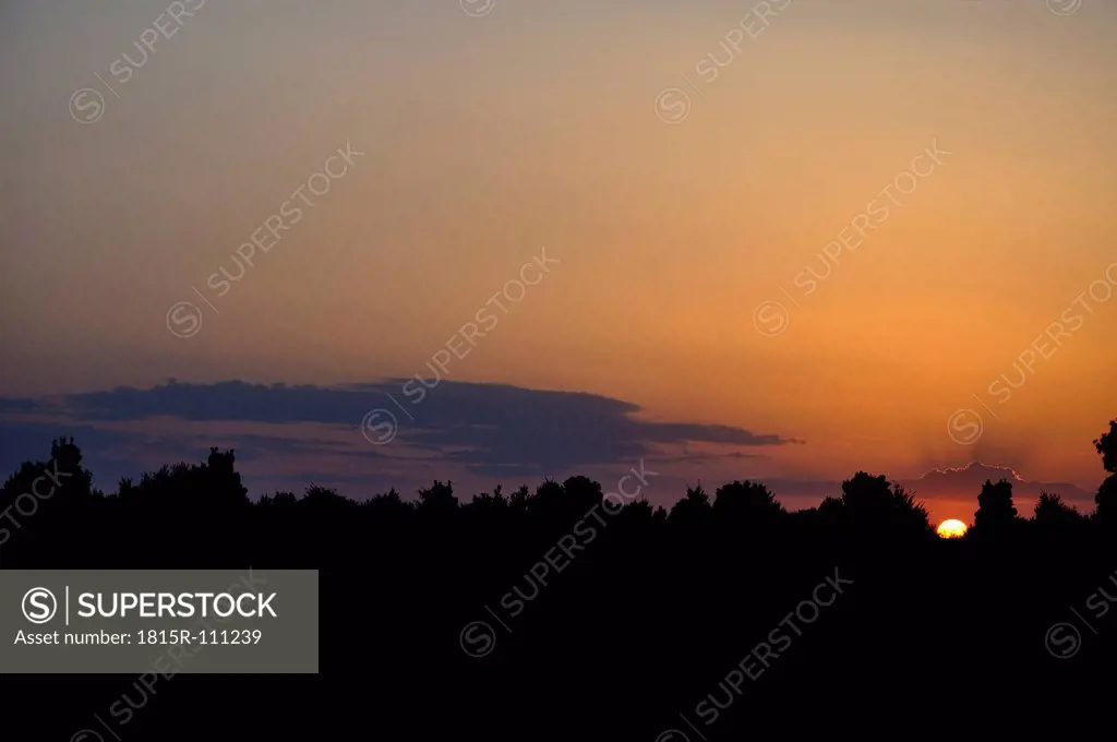 Germany, Bavaria, Silhouette of bushes during sunset