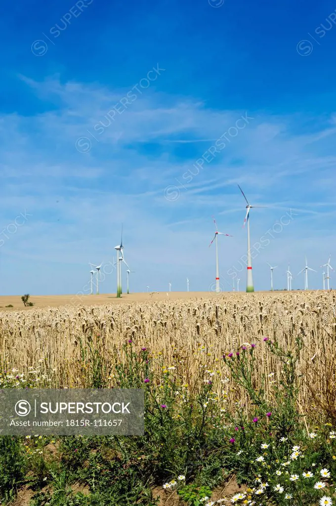 Germany, Saxony, View of wind turbine in wind park